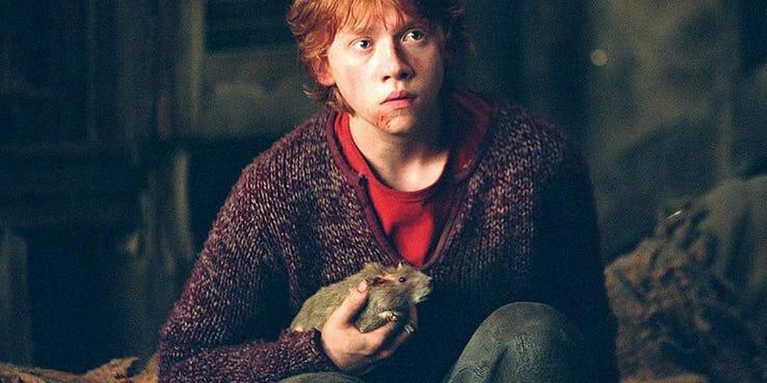 Nhân vật ngốc nghếch Ron Weasley