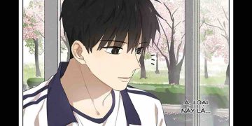 Những nơi bán truyện yêu thầm mà bạn nên biết