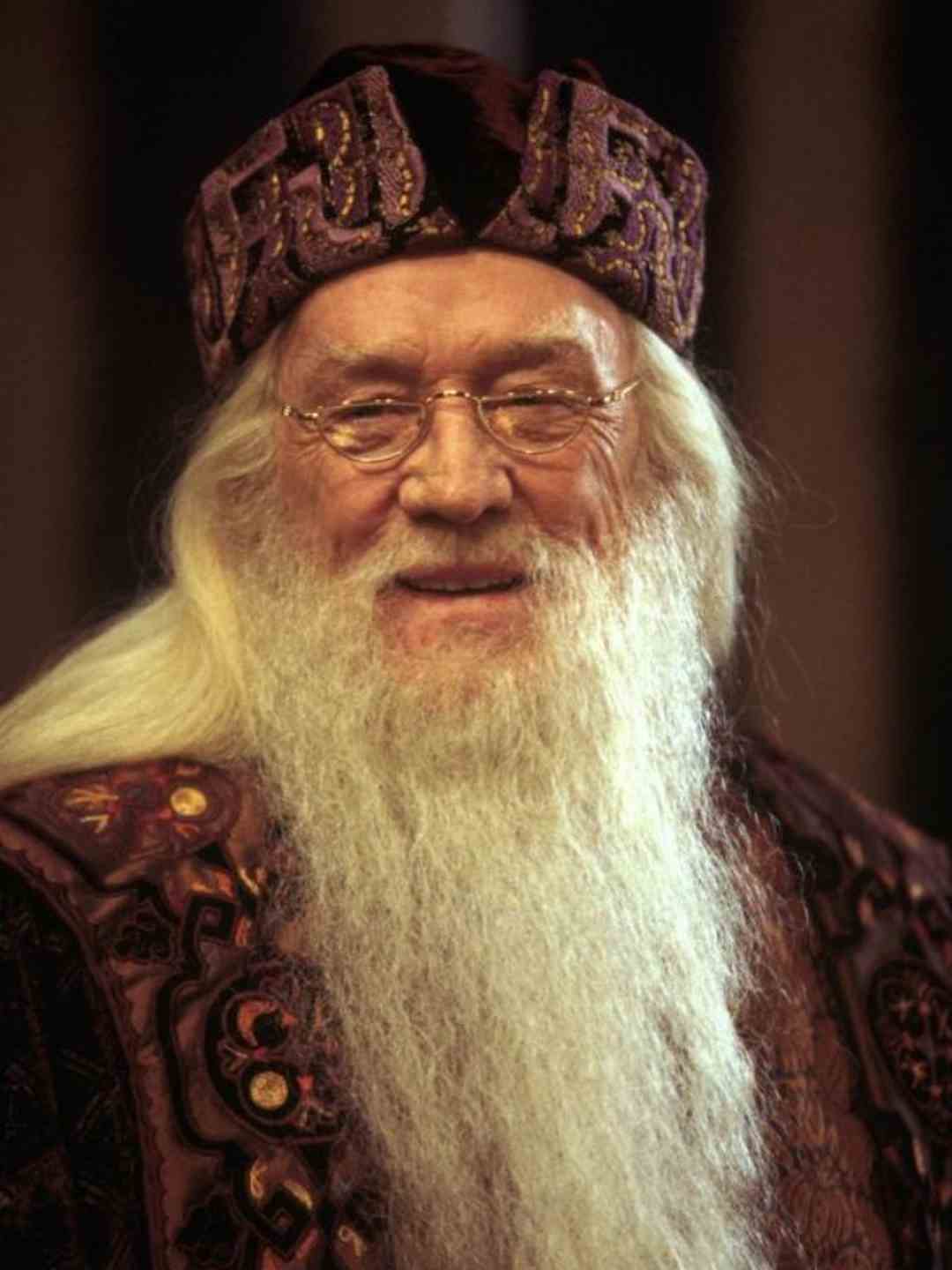 Albus Dumbledore (Richard Harris, Michale Gambon)