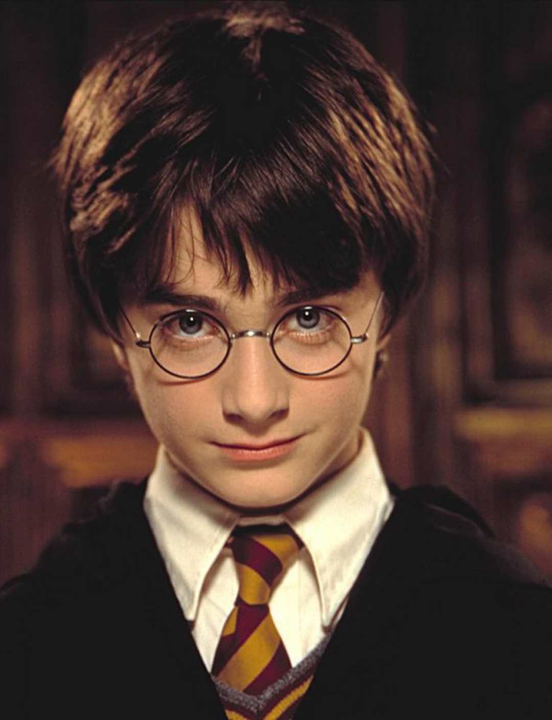 Harry Potter được đông đảo độc giả yêu thích