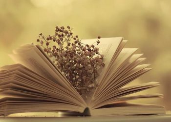 Đọc truyện ngắn giúp bạn tập trung tốt hơn