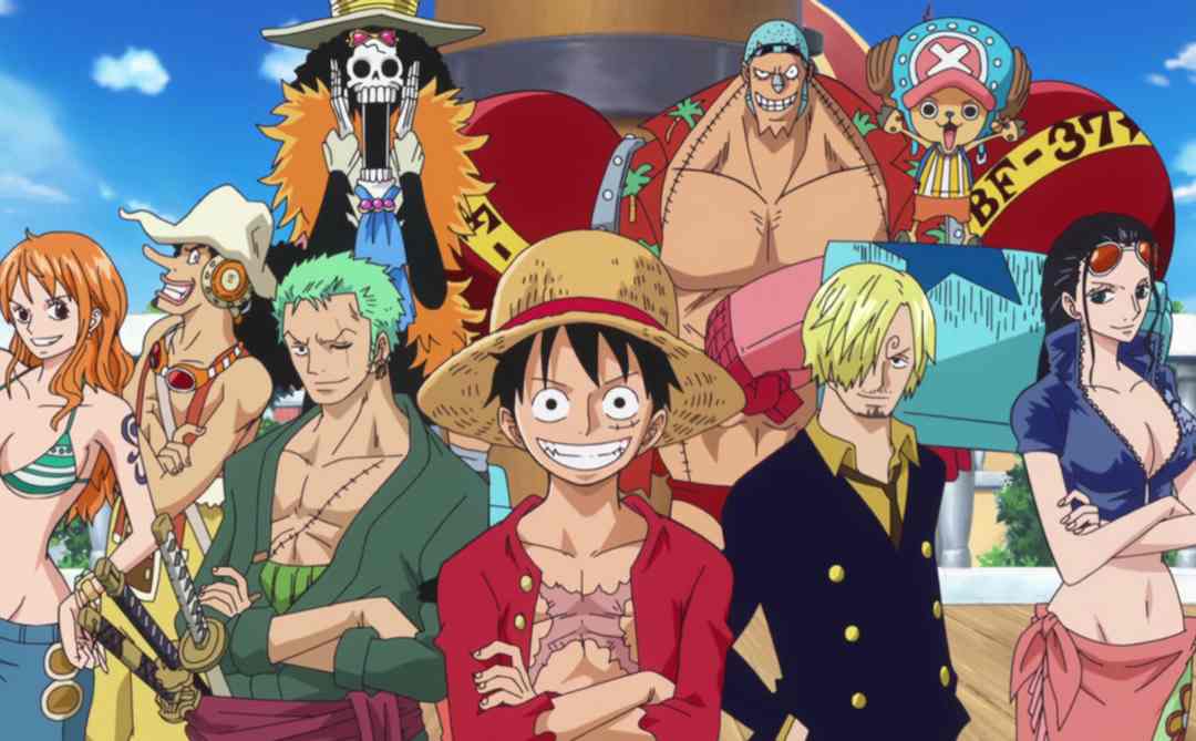 Họ đều là thành viên của nhóm băng hải tặc của Luffy