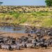 Khu bảo tồn Maasai Mara nổi tiếng tại châu Phi